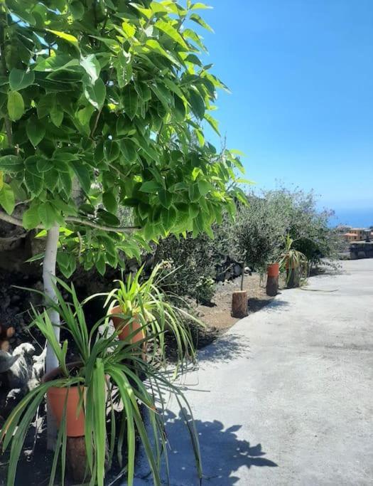 Villa Mi Rinconcito Los Llanos De Aridane Esterno foto